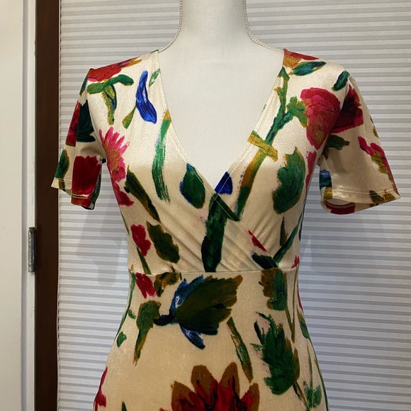Zara Dresses & Skirts - Zara Velvet Floral Romantic Dress